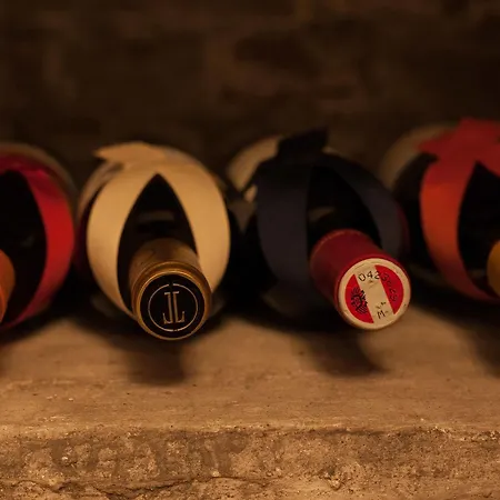 Maison Haas Hustinx & 호텔 마스트리흐트