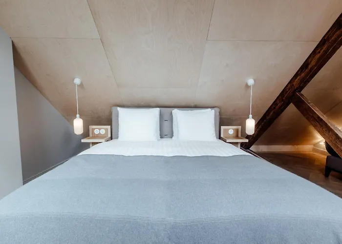 Maison Haas Hustinx & Hotel 4*